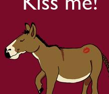 PLM Implementations and KISSASSing