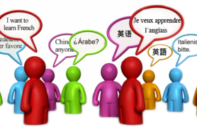 PLM and Immersive Language Tools
