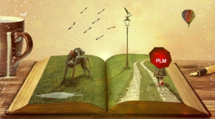 A guide to develop a universal PLM  project narrative